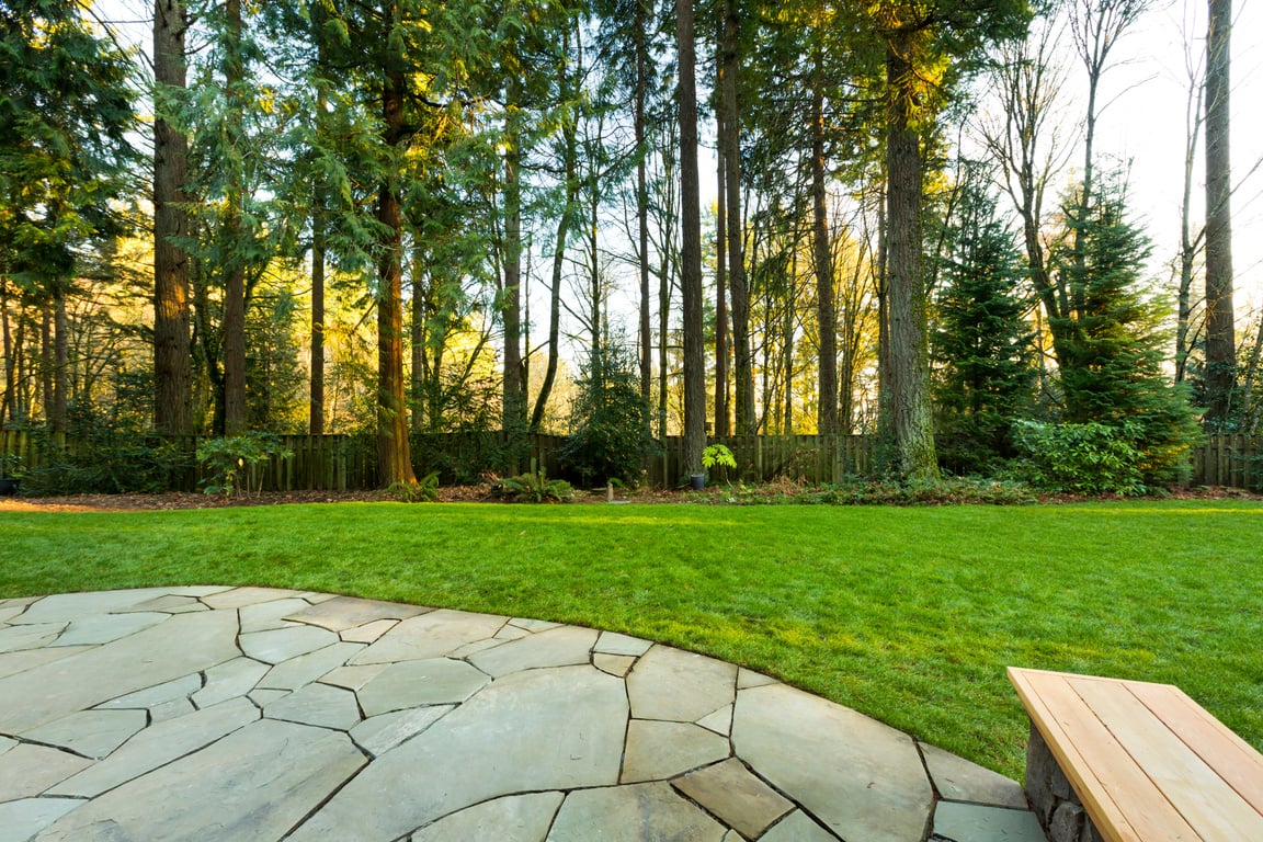 Back Patio and Yard